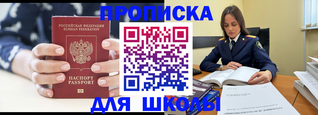 прописка поиск в Сольцах